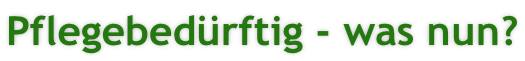 Pflegebedürftig - was nun?